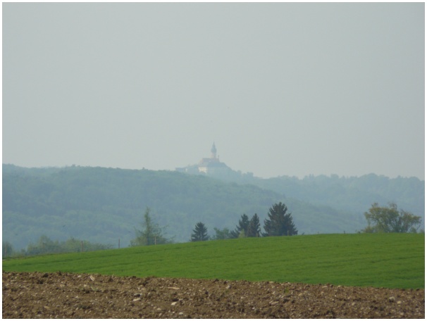 584x433 pixels (56K)